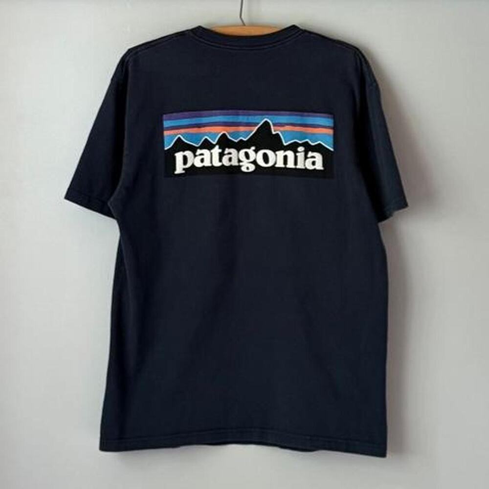 Patagonia blue logo tee